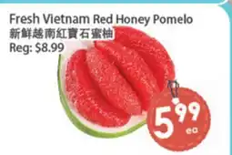 Fresh Palace Supermarket Fresh Vietnam Red Honey Pomelo offer