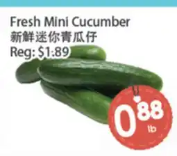 Fresh Palace Supermarket Fresh Mini Cucumber offer