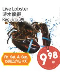 Fresh Palace Supermarket Live Lobster offer