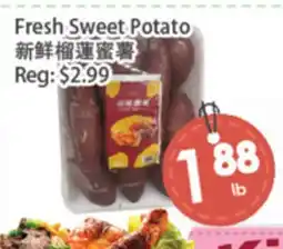 Fresh Palace Supermarket Fresh Sweet Potato offer