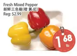 Fresh Palace Supermarket Fresh Mixed Pepper offer