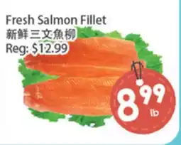 Fresh Palace Supermarket Fresh Salmon Fillet offer