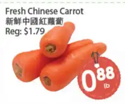 Fresh Palace Supermarket Fresh Chinese Carrot offer
