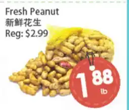 Fresh Palace Supermarket Fresh Peanut offer
