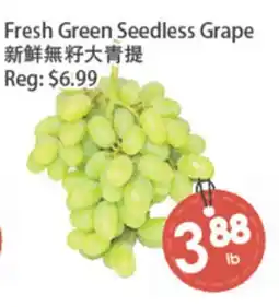Fresh Palace Supermarket Fresh Green Seedless Grape offer