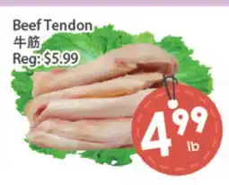 Fresh Palace Supermarket Beef Tendon offer