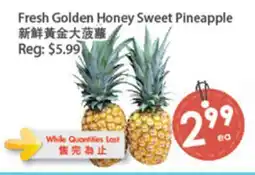 Fresh Palace Supermarket Fresh Golden Honey Sweet Pineapple offer