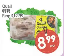 Fresh Palace Supermarket Quail offer