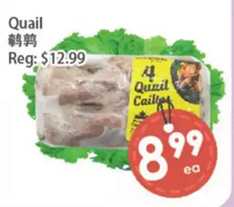 Fresh Palace Supermarket Quail offer