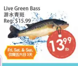Fresh Palace Supermarket Live Green Bass offer