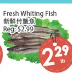 Fresh Palace Supermarket Fresh Whiting Fish offer