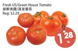 Fresh Palace Supermarket Fresh US/Green House Tomato offer
