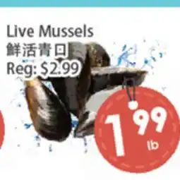 Fresh Palace Supermarket Live Mussels offer