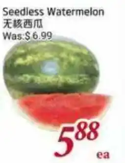 Tone Tai Supermarket Seedless Watermelon offer