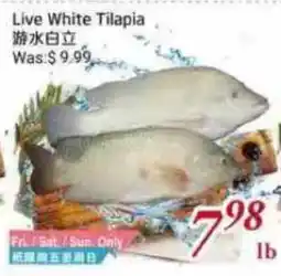 Tone Tai Supermarket Live White Tilapia offer