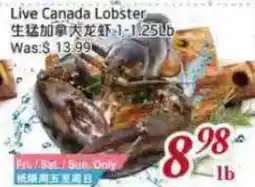 Tone Tai Supermarket Live Canada Lobster offer