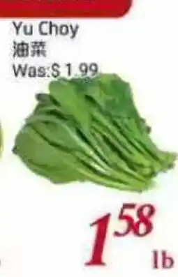 Tone Tai Supermarket Yu Choy offer