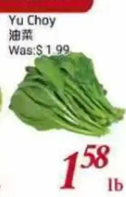 Tone Tai Supermarket Yu Choy offer