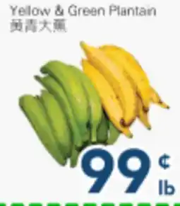 Oceans Fresh Food Market Yellow & Green Plantain offer