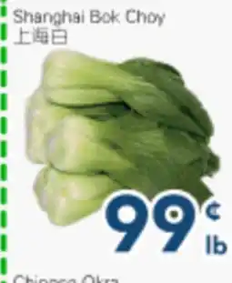 Oceans Fresh Food Market Shanghai Bok Choy offer