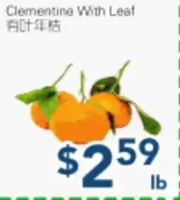 Oceans Fresh Food Market Clementine With Leaf offer
