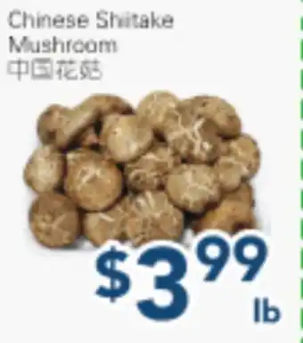 Oceans Fresh Food Market Chinese Shiitake Mushroom offer