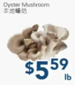Oceans Fresh Food Market Oyster Mushroom offer