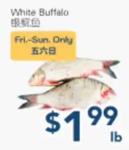Oceans Fresh Food Market White Buffalo offer
