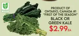 Fiesta Farms BLACK OR GREEN KALE offer