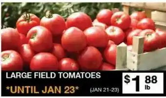 Lococo's Large Field Tomatoes offer