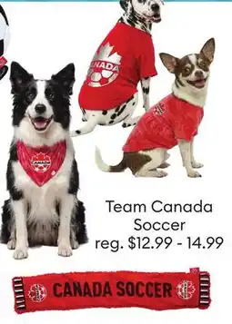 Petsmart Team Canada Soccer offer