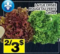 Supermarché PA LAITUE FRISÉE ROUGE OU Verte | Lettuce offer