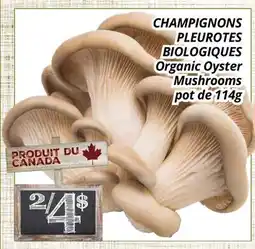 Supermarché PA CHAMPIGNONS PLEUROTES BIOLOGIQUES/Organic Oyster Mushrooms offer