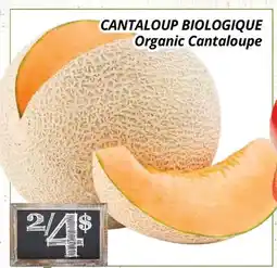 Supermarché PA CANTALOUP BIOLOGIQUE/Organic Cantaloupe offer
