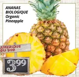Supermarché PA ANANAS BIOLOGIQUE/Organic Pineapple offer