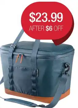 Costco Cooler Bag offer