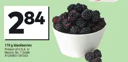 Giant Tiger 170 g blackberries offer