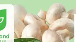 Giant Tiger 227 g whole white mushrooms offer