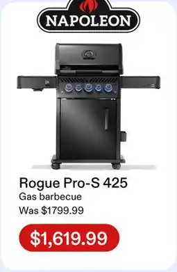 Club Piscine Napoleon Rogue Pro-S 425 offer