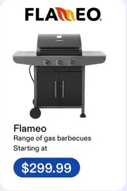 Club Piscine Flameo, barbecue, gas grill, outdoor grill, propane grill offer