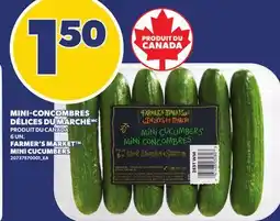 Provigo MINI-CONCOMBRES DÉLICES DU MARCHÉ, 6 UN offer