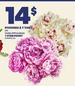 Provigo PIVOINES À 7 TIGES | 7 STEM PEONY offer