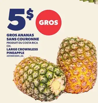 Provigo GROS ANANAS SANS COURONNE | LARGE CROWNLESS PINEAPPLE offer