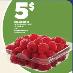 Provigo FRAMBOISES, 170 G | RASPBERRIES offer