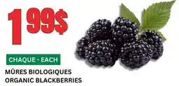 Marches Tau MÛRES BIOLOGIQUES offer