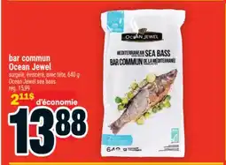 Super C bar commun Ocean Jewel | Ocean Jewel sea bass offer