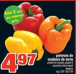 Super C poivrons de couleurs de serre | assorted colour sweet peppers offer