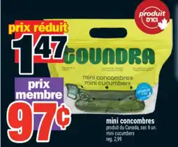 Super C mini concombres | mini cucumbers offer