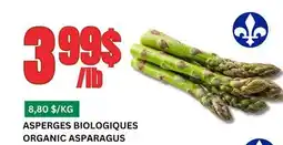 Marches Tau ASPERGES BIOLOGIQUES offer