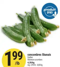 Marché Adonis concombres libanais | lebanese cucumbers offer